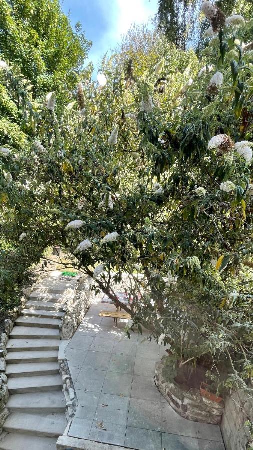 شقة Au Jardin De La Basilique بولون-سور-مير المظهر الخارجي الصورة
