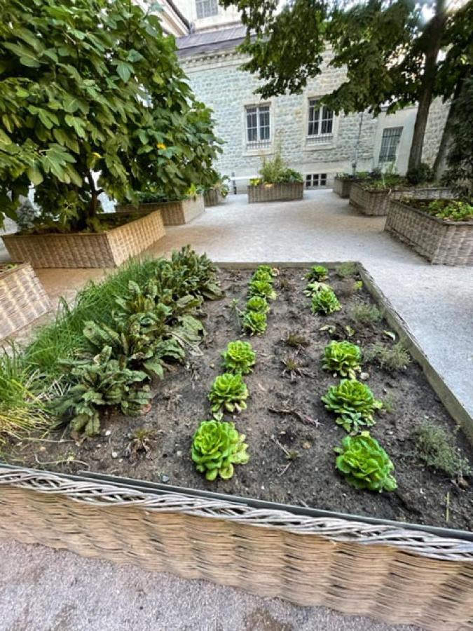 شقة Au Jardin De La Basilique بولون-سور-مير المظهر الخارجي الصورة